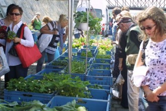 Farmářské trhy – kdy, kde a jak na nich nakupovat