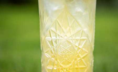 JOHNNIE GINGER
