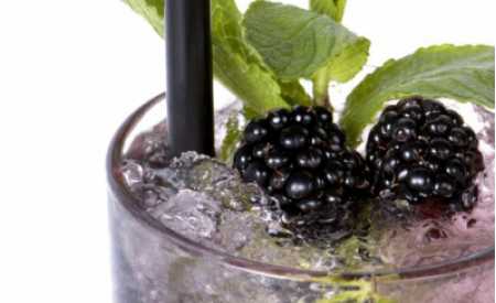 Blackberry mojito